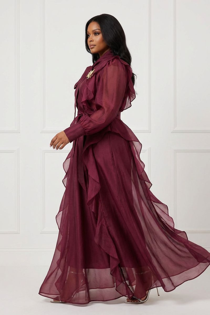 Bordeaux ÉToile Sheer Dress